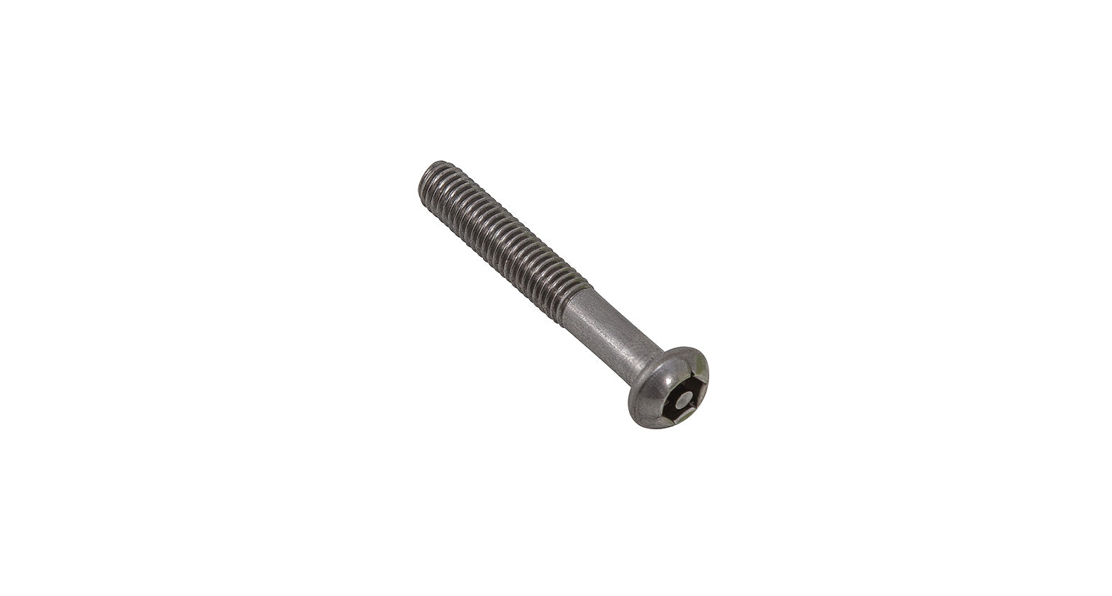 M6 x 40mm Button Head Security Screw (Stainless Steel) (6 Pack)