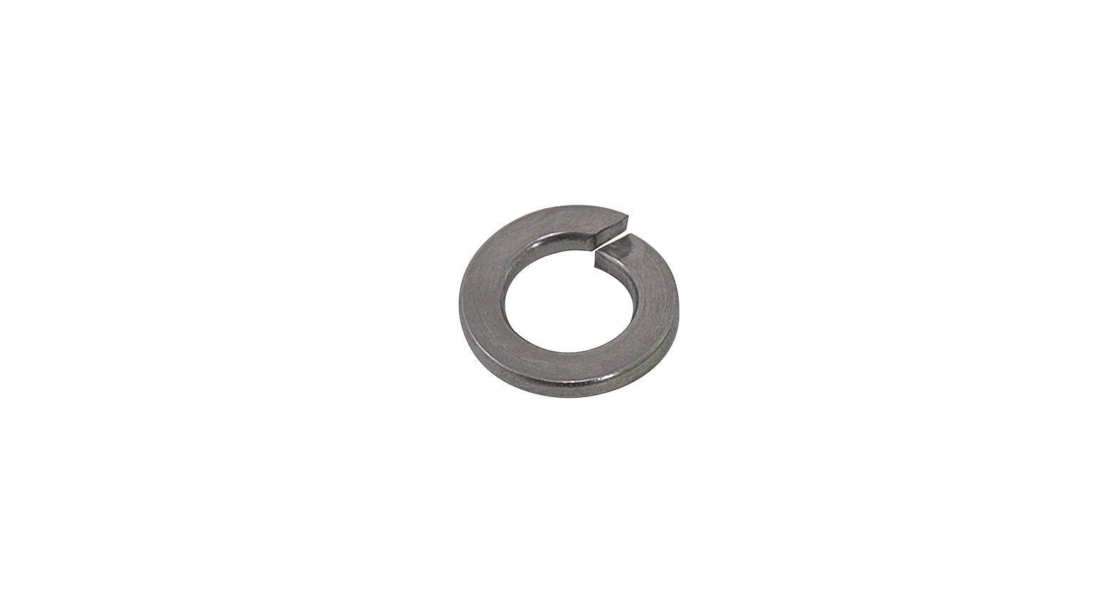 M8 Spring Washer (Stainless Steel) (10 Pack)